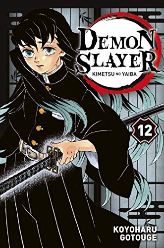 Demon Slayer tome 12