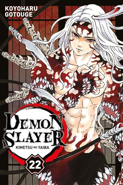 Demon Slayer tome 22