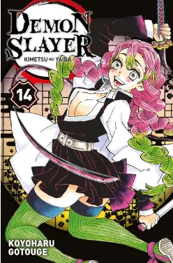 Demon Slayer tome 14